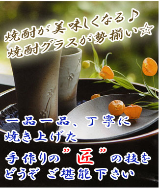 �ސE�j�� �Ē��J�b�v